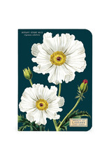 Cavallini Papers & Co. Botany 3 Mini Notebooks