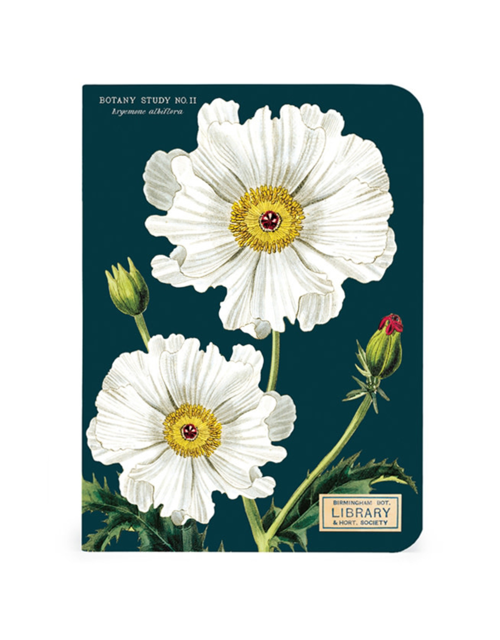 Cavallini Papers & Co. Botany 3 Mini Notebooks