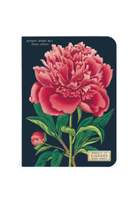 Cavallini Papers & Co. Botany 3 Mini Notebooks