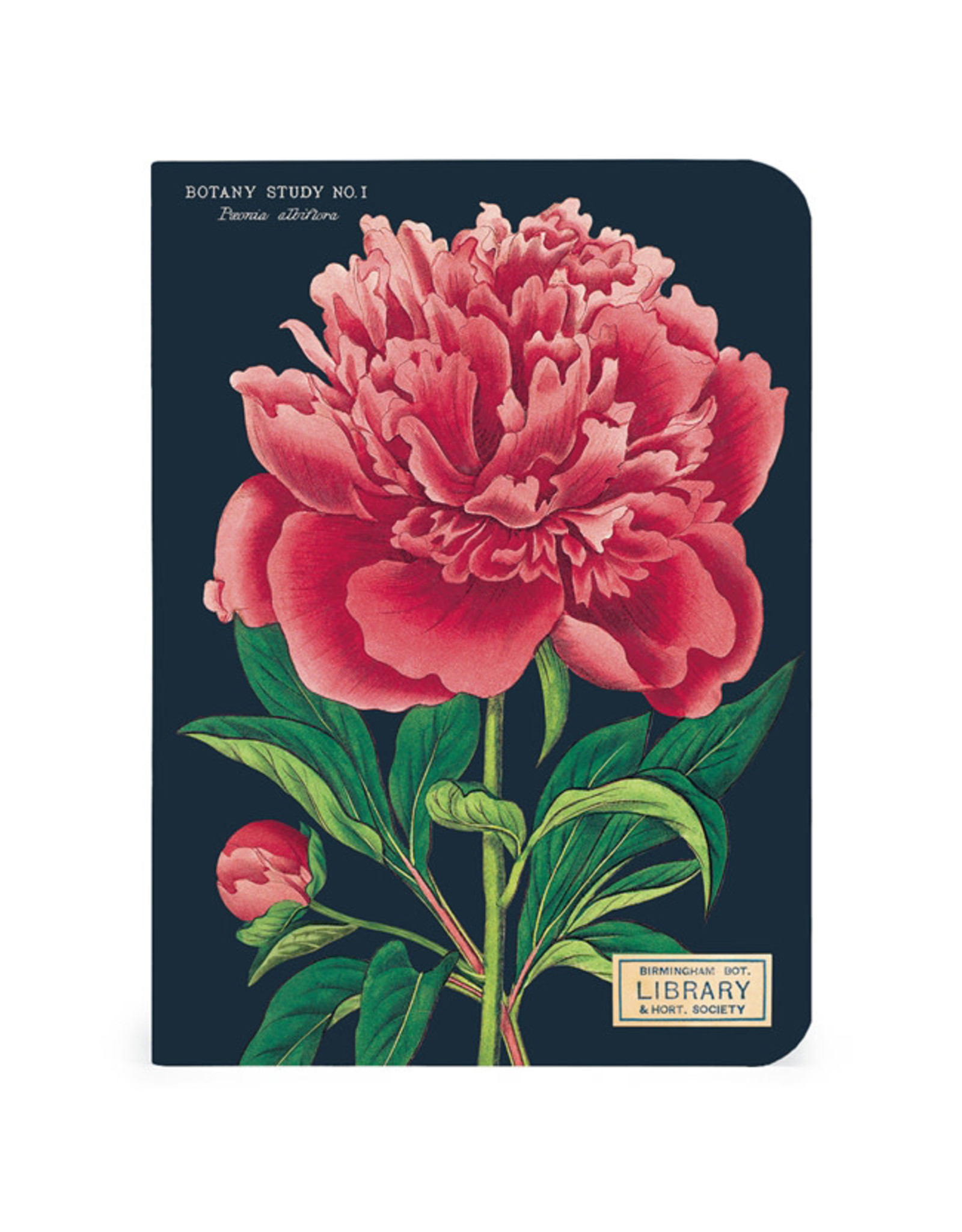 Cavallini Papers & Co. Botany 3 Mini Notebooks