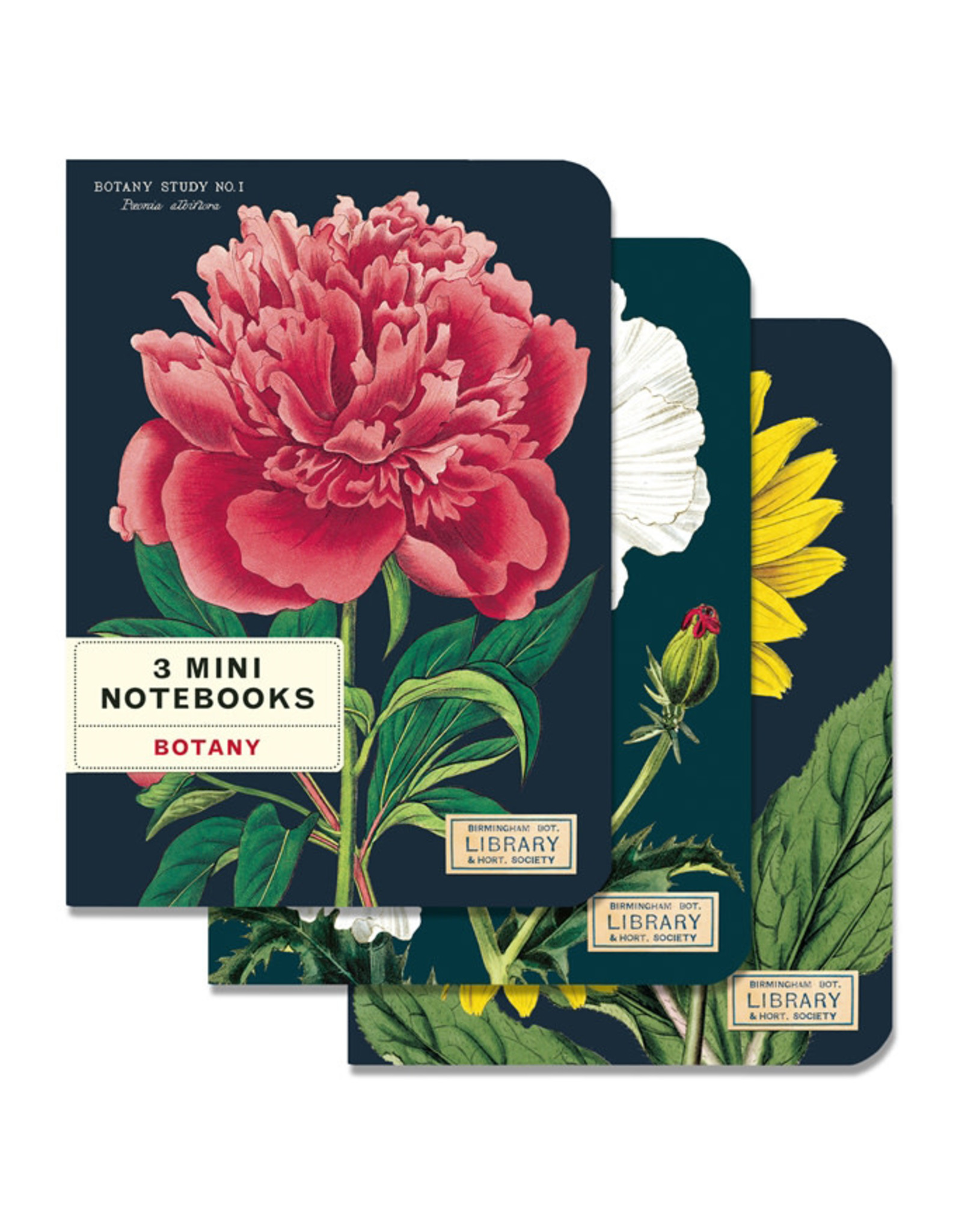 Cavallini Papers & Co. Botany 3 Mini Notebooks