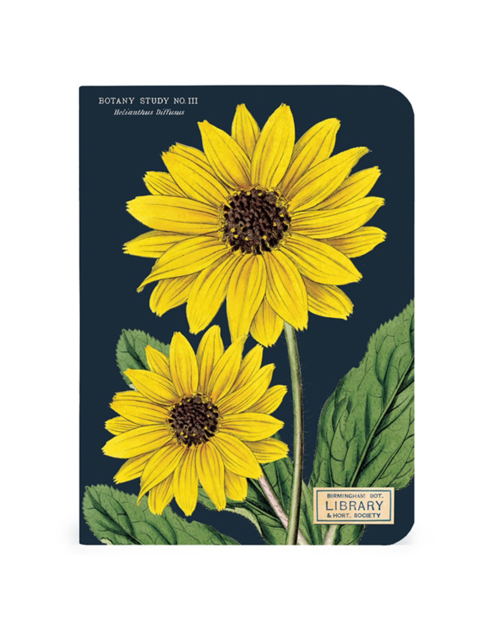 Cavallini Papers & Co. Botany 3 Mini Notebooks