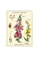 Cavallini Papers & Co. Wildflowers 3 Mini Notebooks