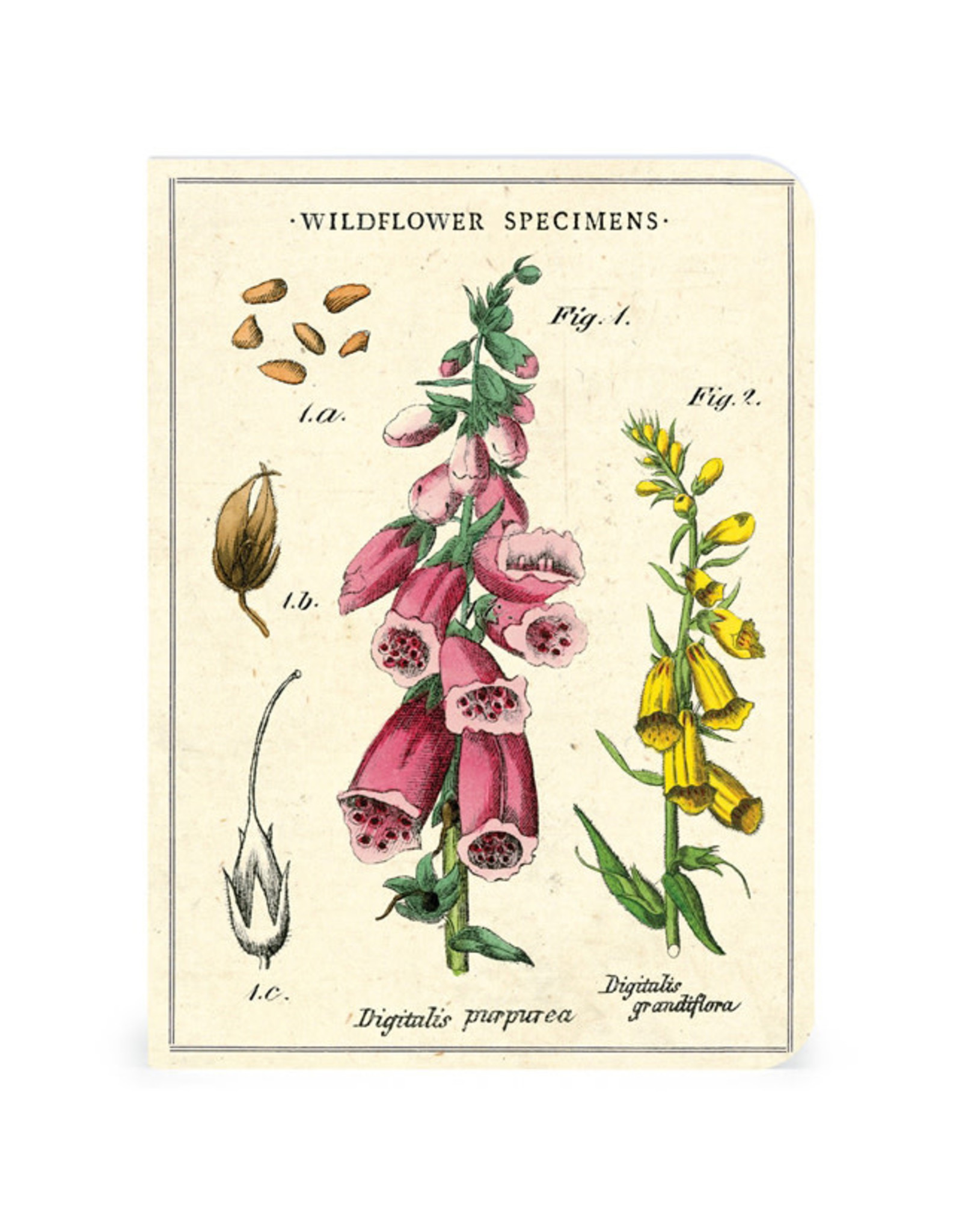 Cavallini Papers & Co. Wildflowers 3 Mini Notebooks