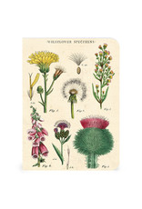 Cavallini Papers & Co. Wildflowers 3 Mini Notebooks