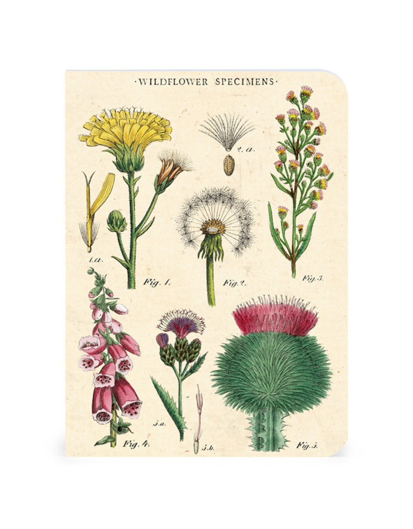 Cavallini Papers & Co. Wildflowers 3 Mini Notebooks