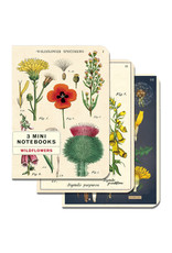 Cavallini Papers & Co. Wildflowers 3 Mini Notebooks