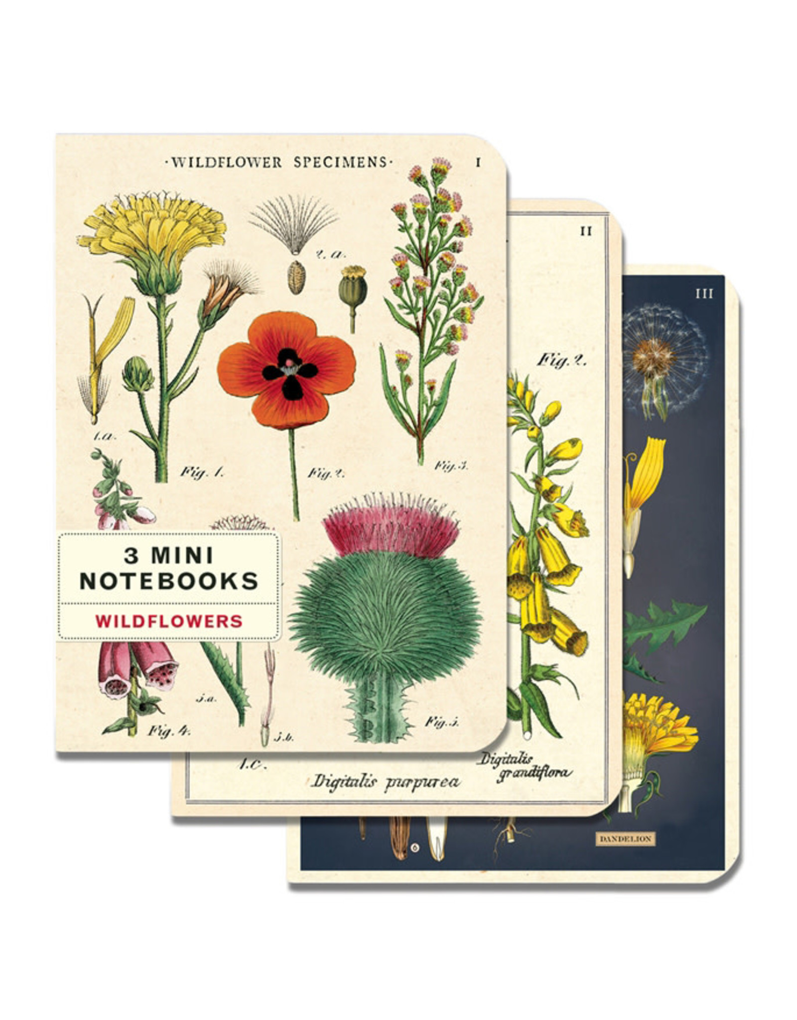 Cavallini Papers & Co. Wildflowers 3 Mini Notebooks