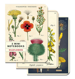 Cavallini Papers & Co. Wildflowers 3 Mini Notebooks