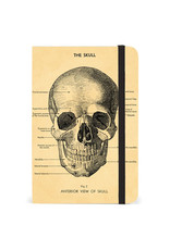 Cavallini Papers & Co. Skull Small Notebook