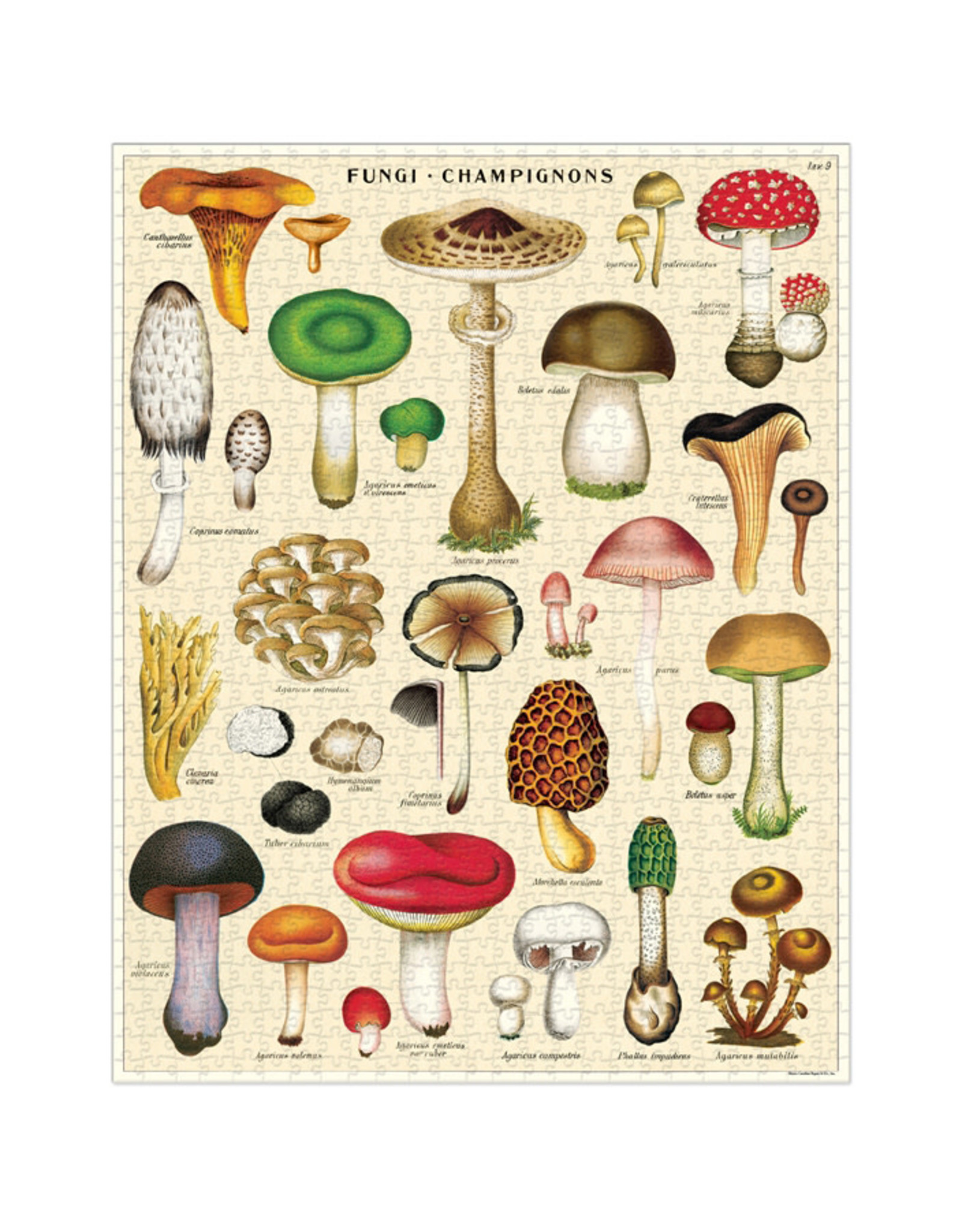 Cavallini Papers & Co. Cavallini Puzzle Mushrooms 1,000 Pcs