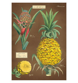 Cavallini Papers & Co. Wrap Pinapple