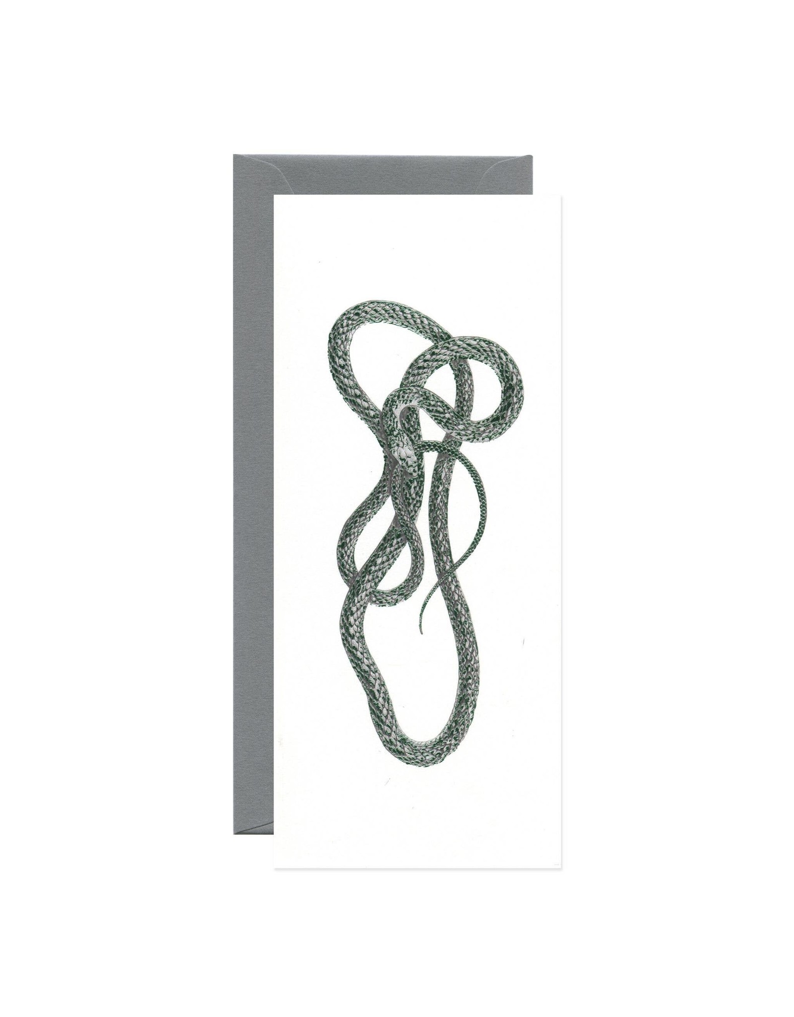 Open Sea Design Co. Green Mamba No.10 Everyday Notecard