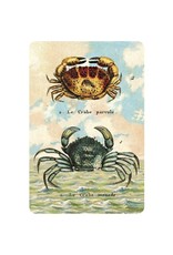 Cartolina Seaside Two Crabs Postcard