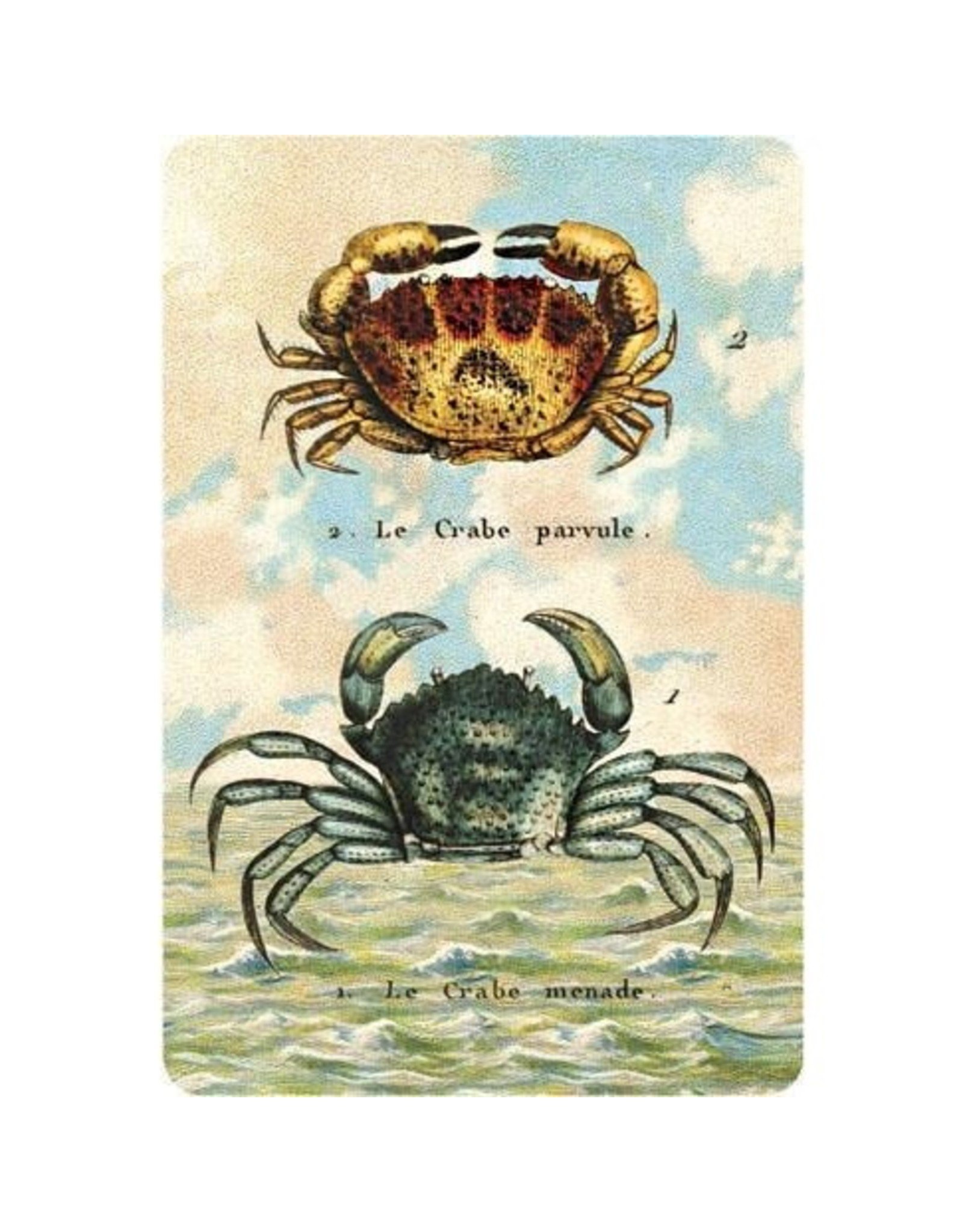 Cartolina Seaside Two Crabs Postcard