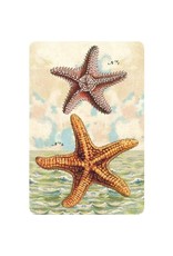 Cartolina Seaside Starfish Postcard