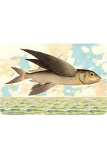 Cartolina Seaside Flying Fish Postcard