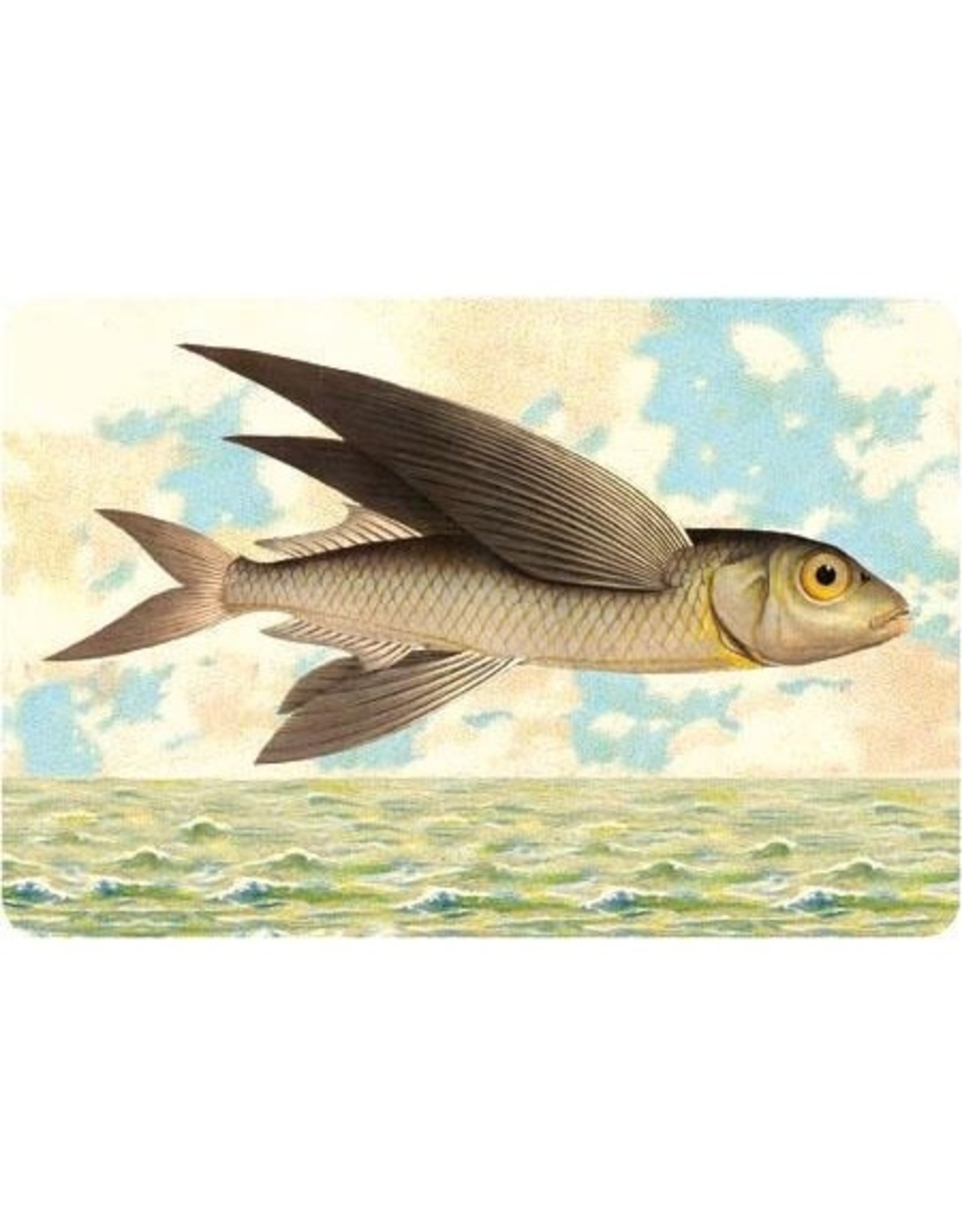 Seaside Flying Fish Postcard - Copperfield's Gifts & Rarities