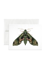 Open Sea Design Co. Pandora Sphinx Moth A2 Everyday Notecard
