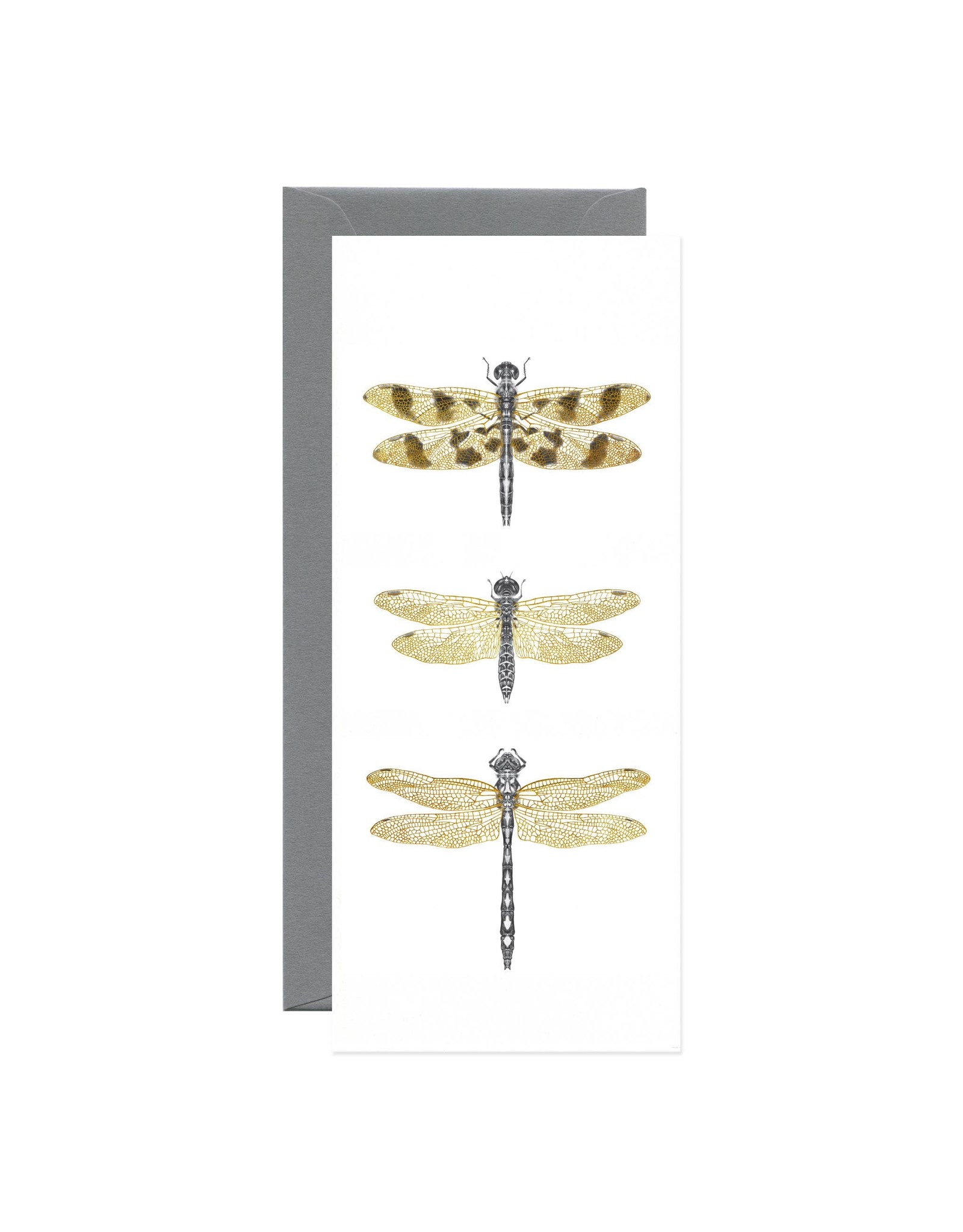Open Sea Design Co. Dragonflies No.10 Everyday Notecard