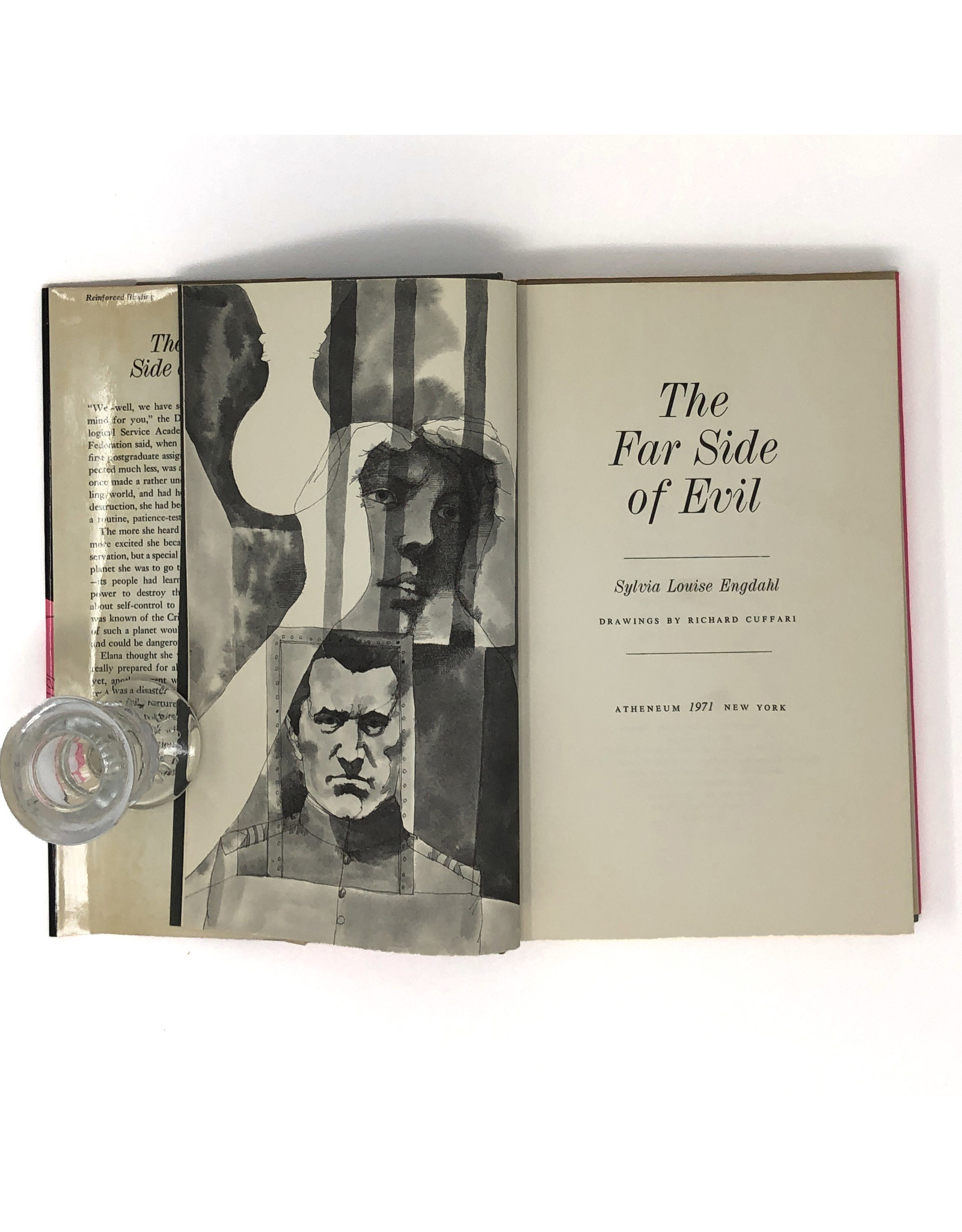 The Far Side of Evil Copperfield s Gifts Rarities