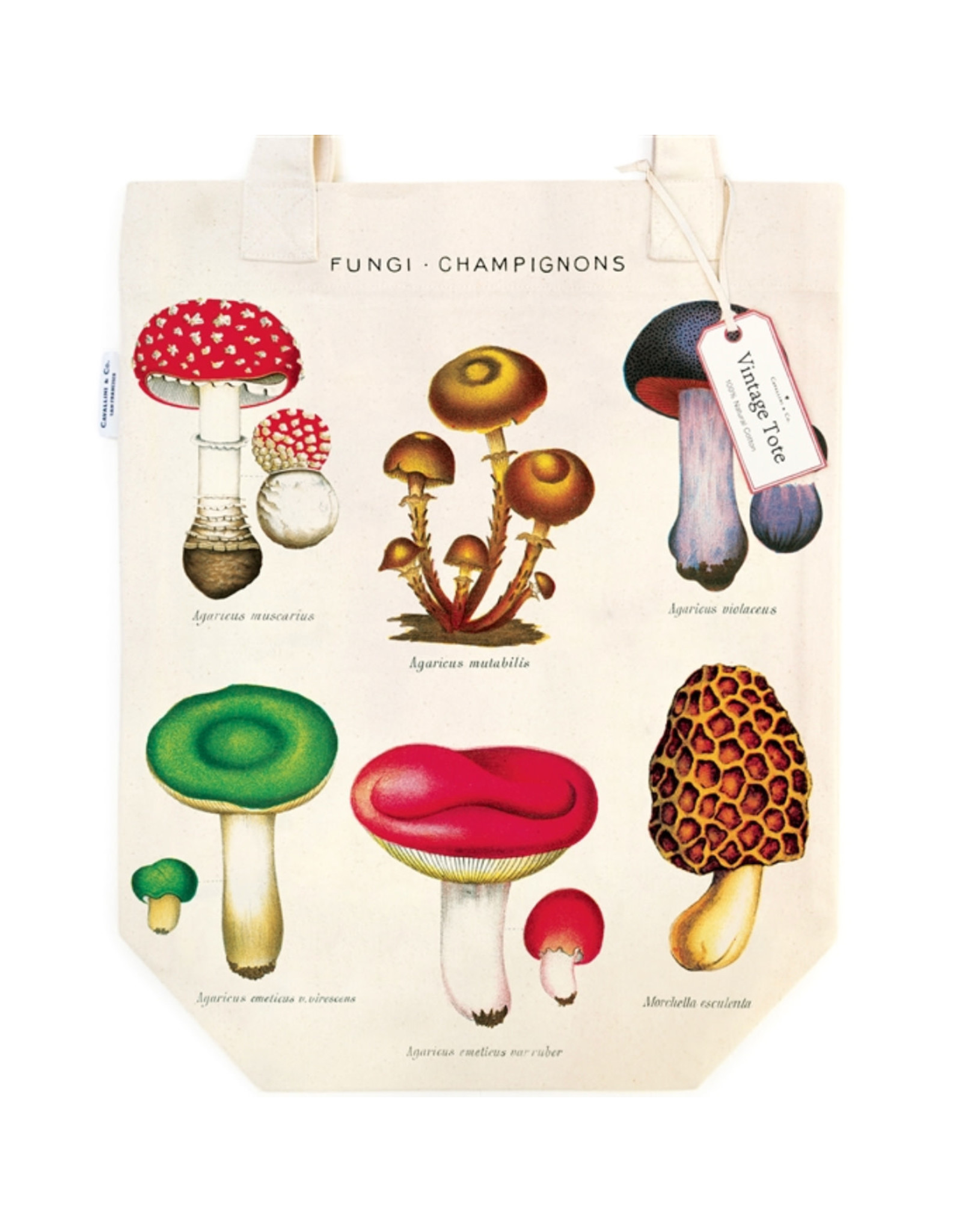 Cavallini Papers & Co. Mushrooms Tote Bag