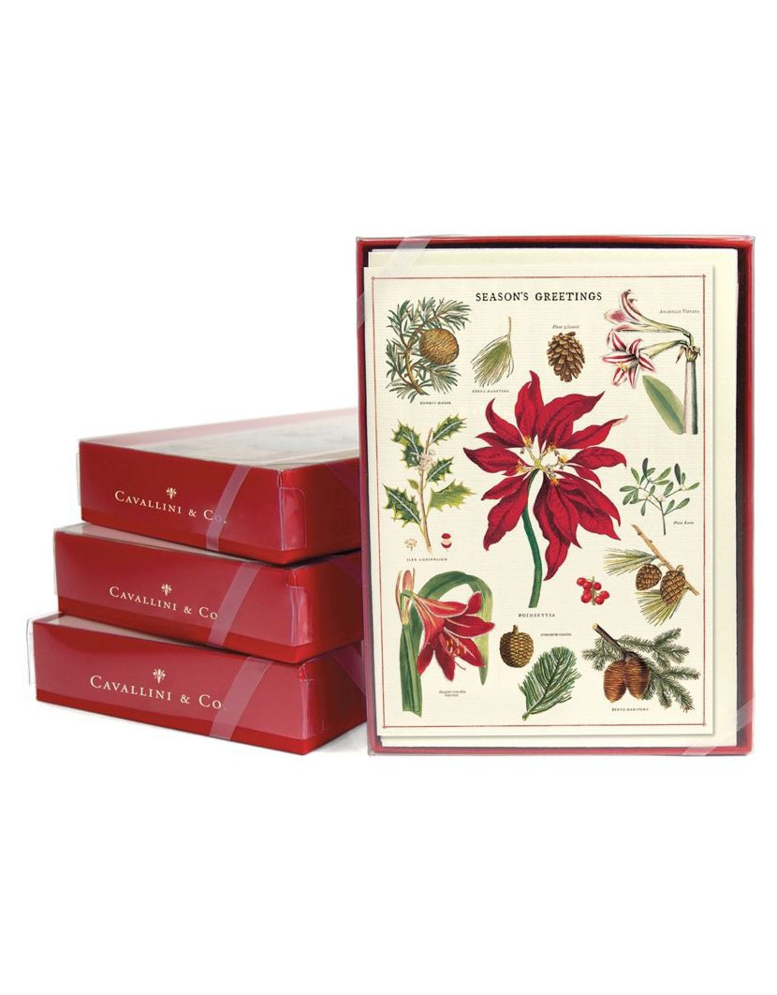 Cavallini Papers & Co. Christmas Botanica Box of 10 Notecards