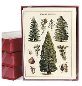 Cavallini Papers & Co. Christmas Trees Box of 10 Notecards