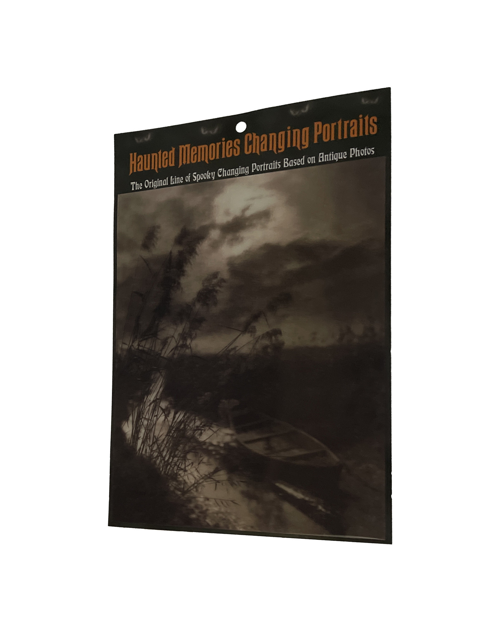 Haunted Memories Marsh 8x10 Haunted Changing Portrait