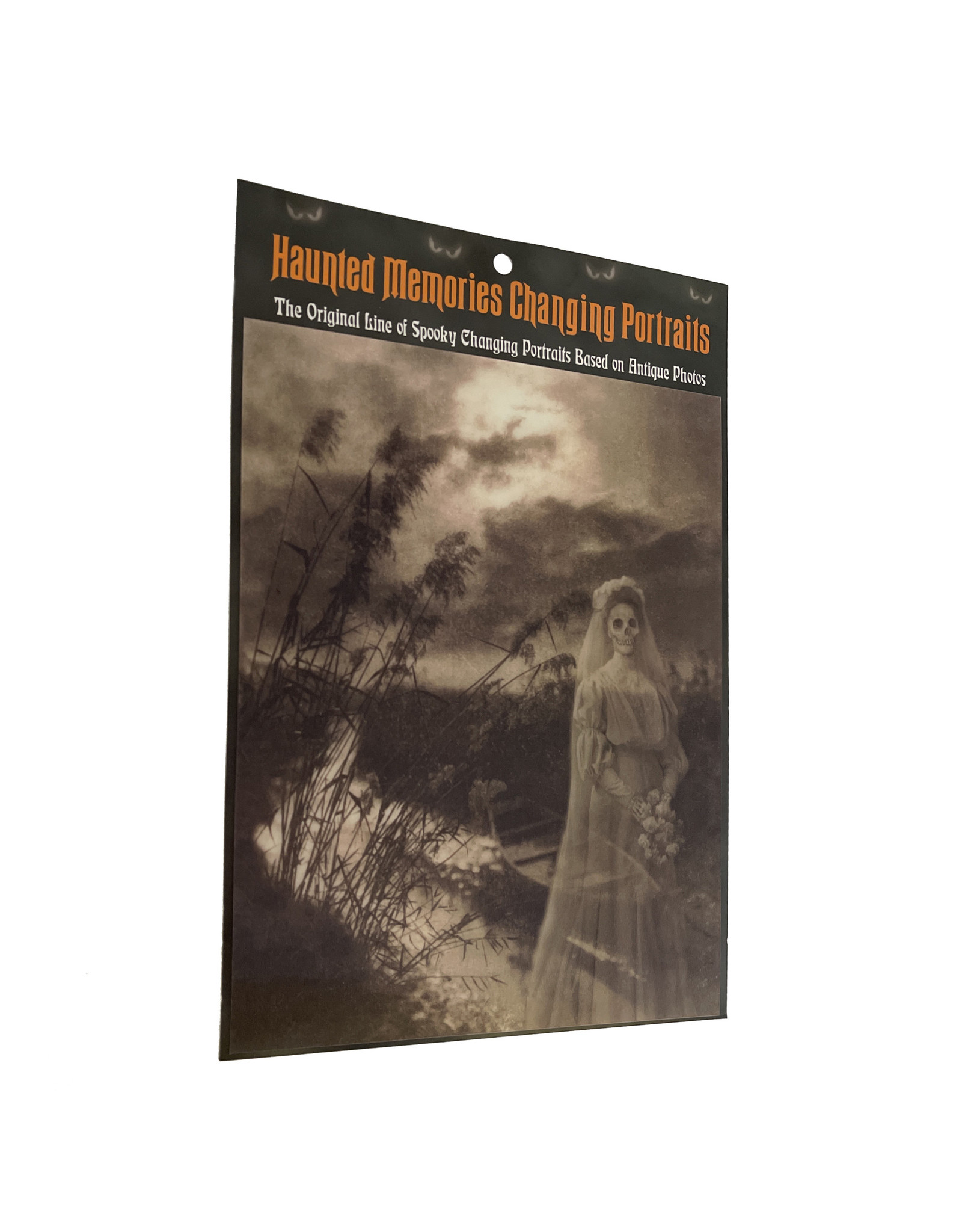 Haunted Memories Marsh 8x10 Haunted Changing Portrait