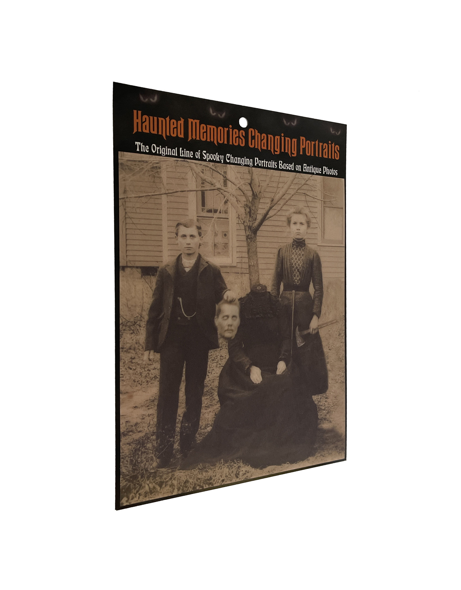 Haunted Memories Midwestern Matricide 8x10 Haunted Changing Portrait