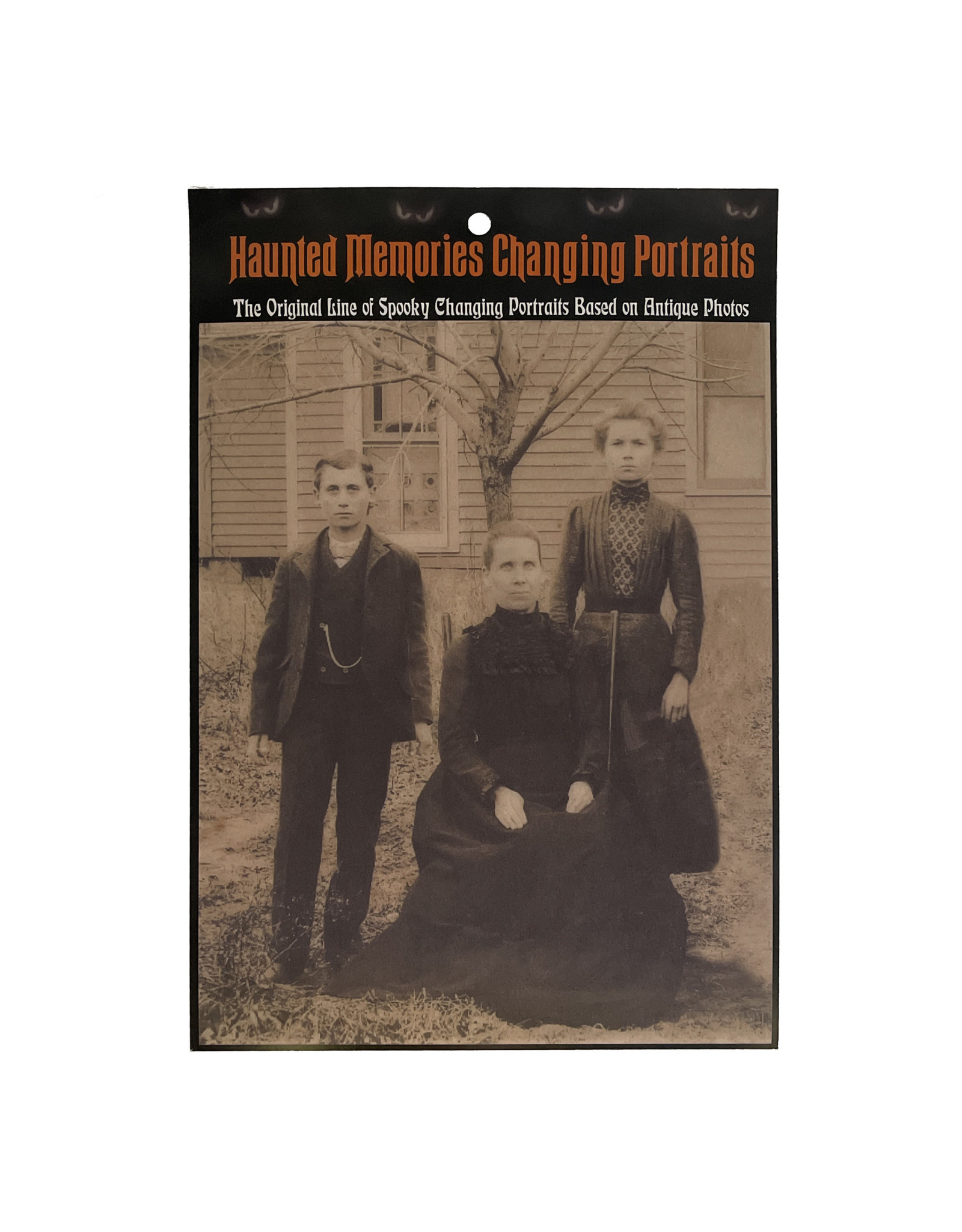 Haunted Memories Midwestern Matricide 8x10 Haunted Changing Portrait