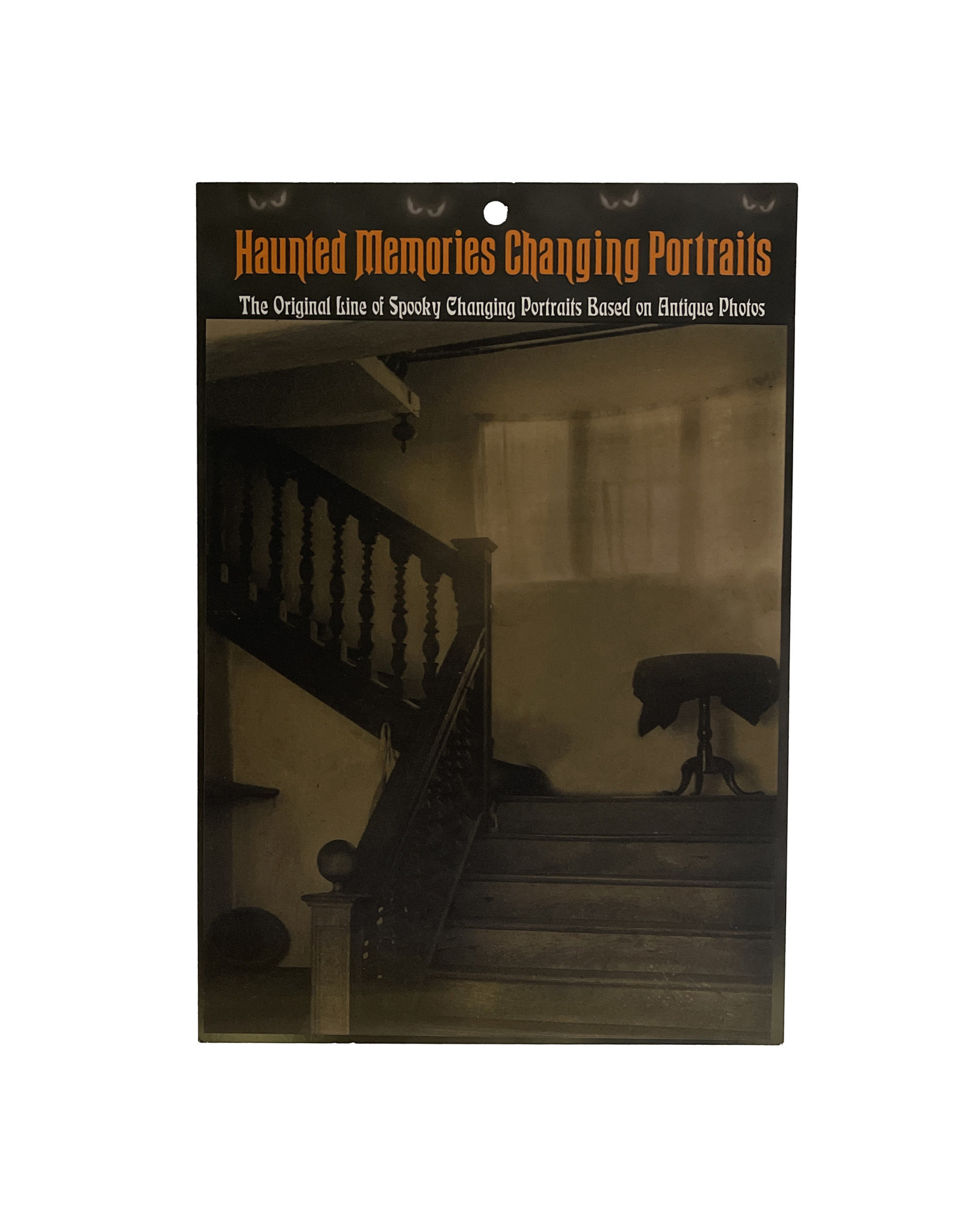Haunted Memories Mother's Revenge 8x10 Haunted Changing Portrait