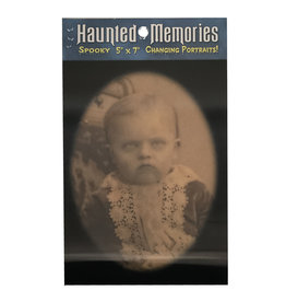 Haunted Memories Little Willie 5x7 Haunted Changing Portrait