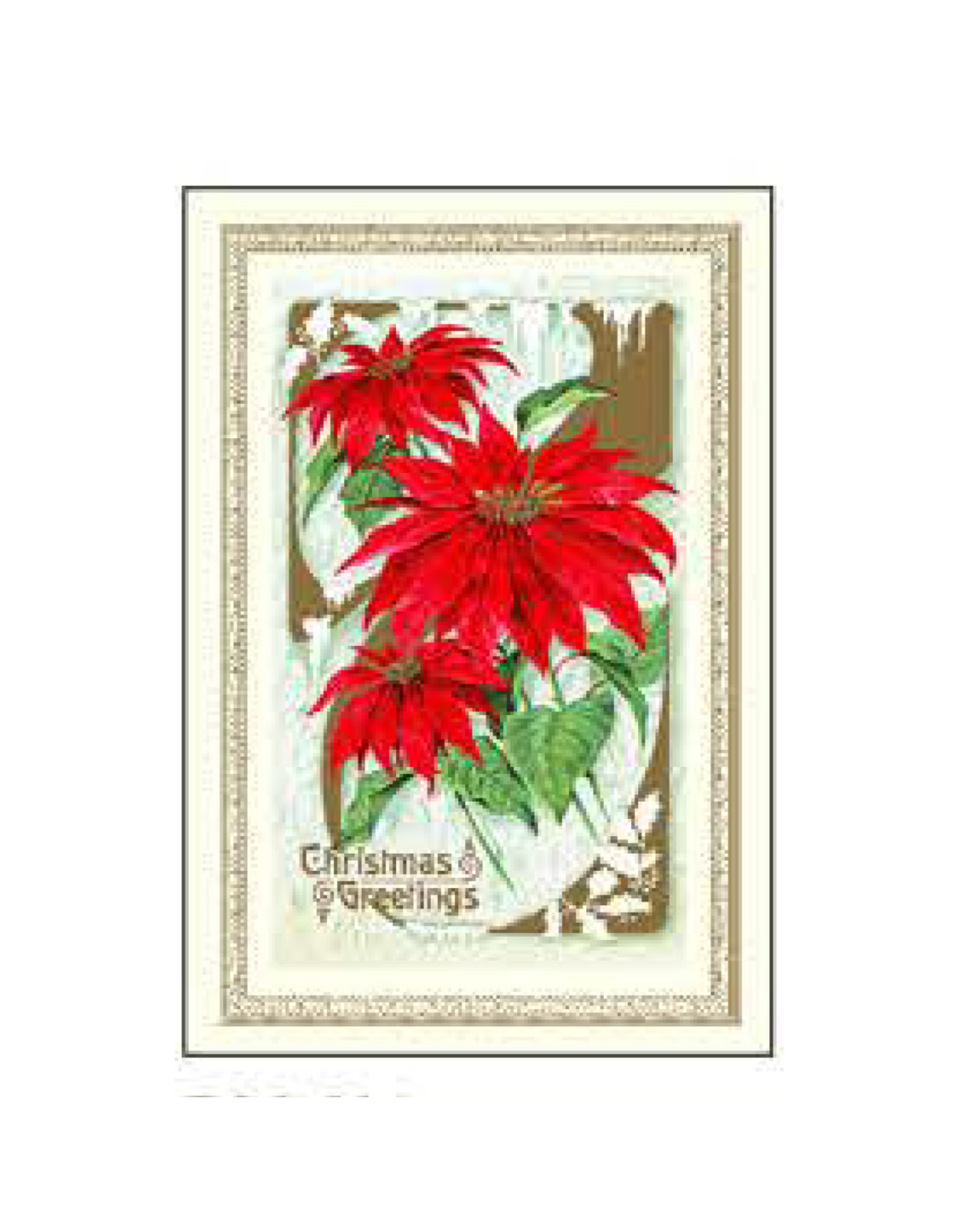 Rossi Christmas Greetings Poinsettia Vintage Postcard