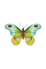 Tattly Butterfly 1 Temporary Tattoo Pair