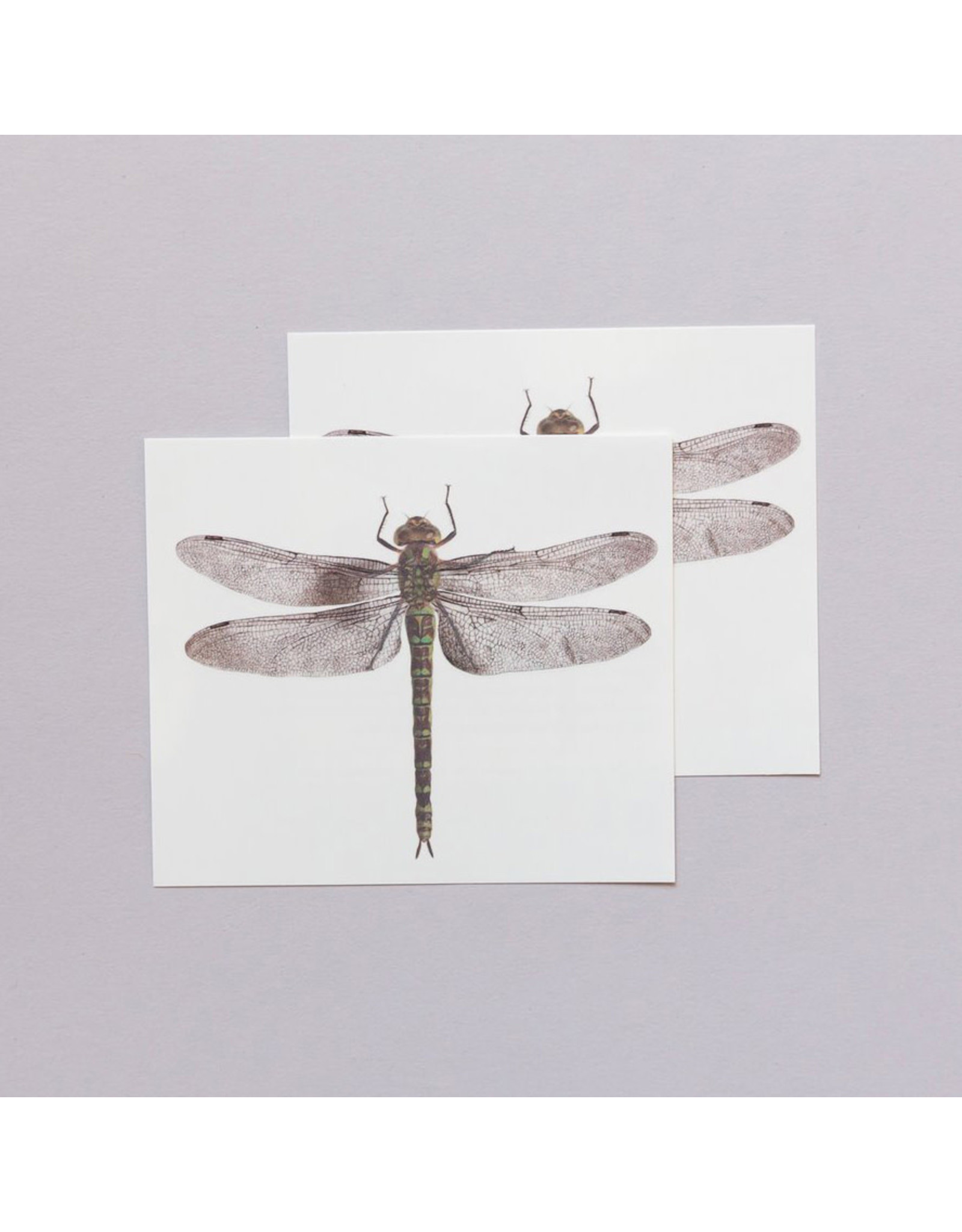 Tattly Dragonfly Packaged Pair