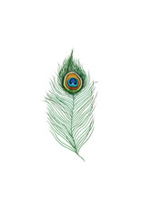 Tattly Peacock Feather Tattly Packaged Pair