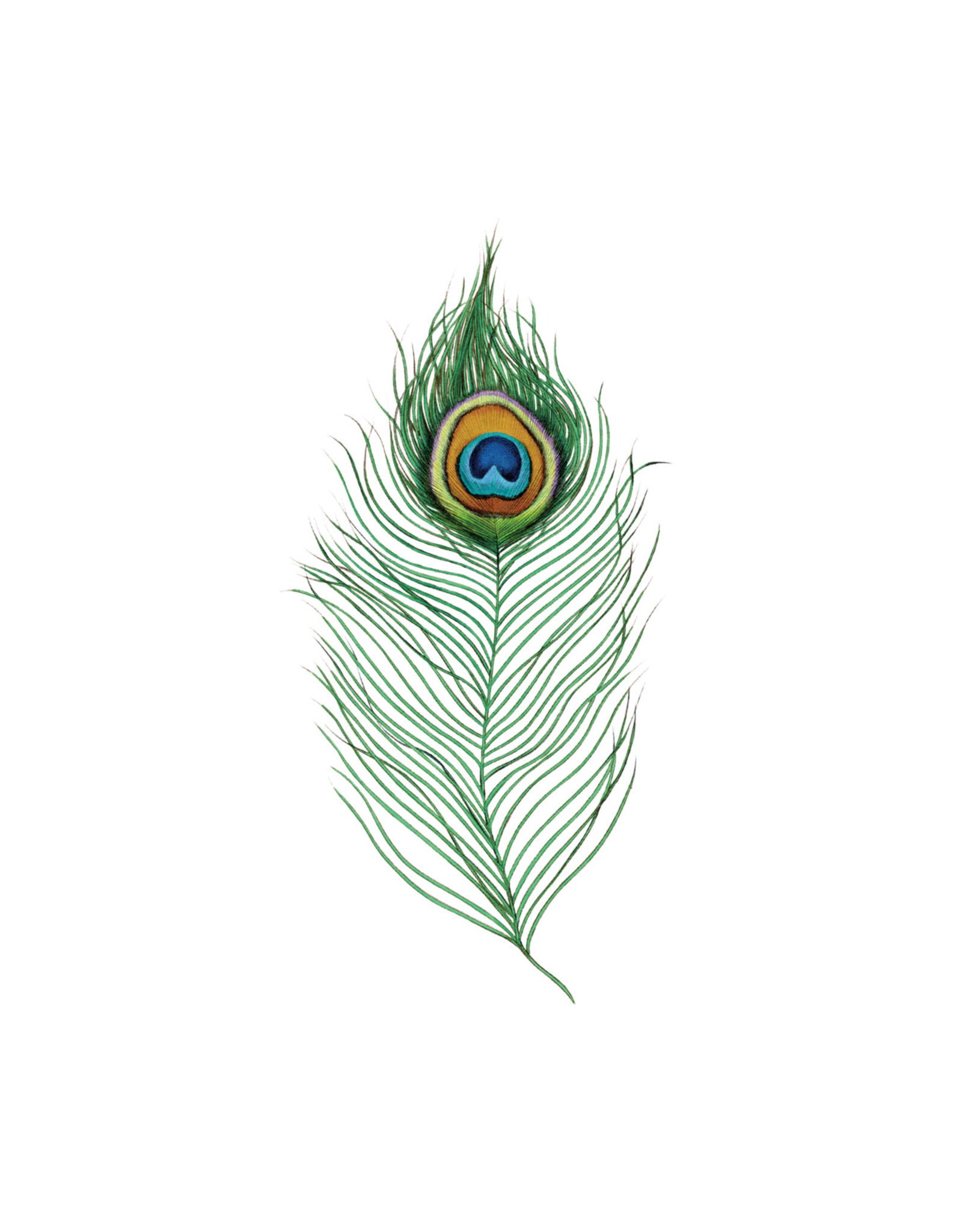 Tattly Peacock Feather Tattly Packaged Pair