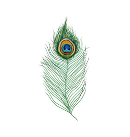 Tattly Peacock Feather Tattly Packaged Pair