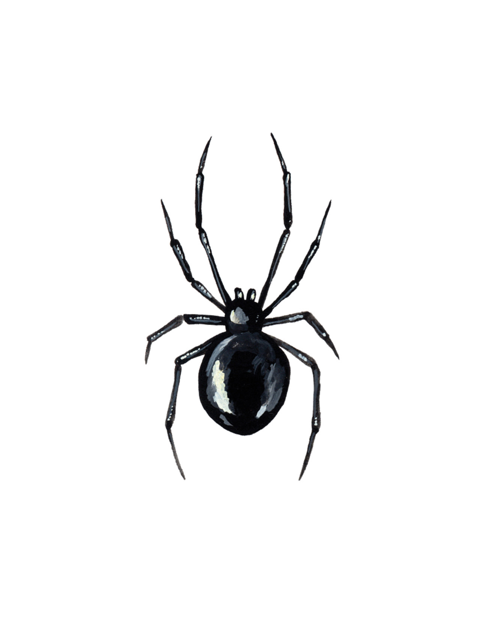 Tattly Black Widow Set of 2 Tattly