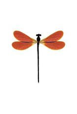 Tattly Amber Damsel Tattly Packaged Pair