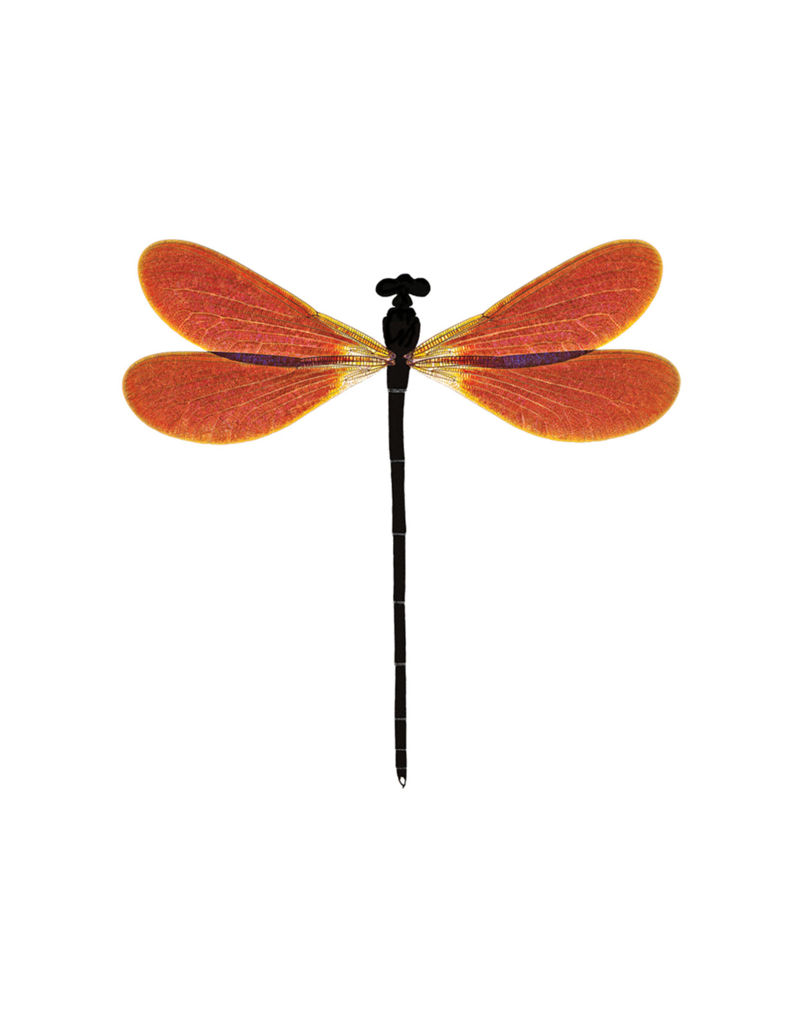Tattly Amber Damsel Tattly Packaged Pair