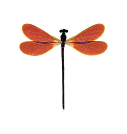 Tattly Amber Damsel Tattly Packaged Pair
