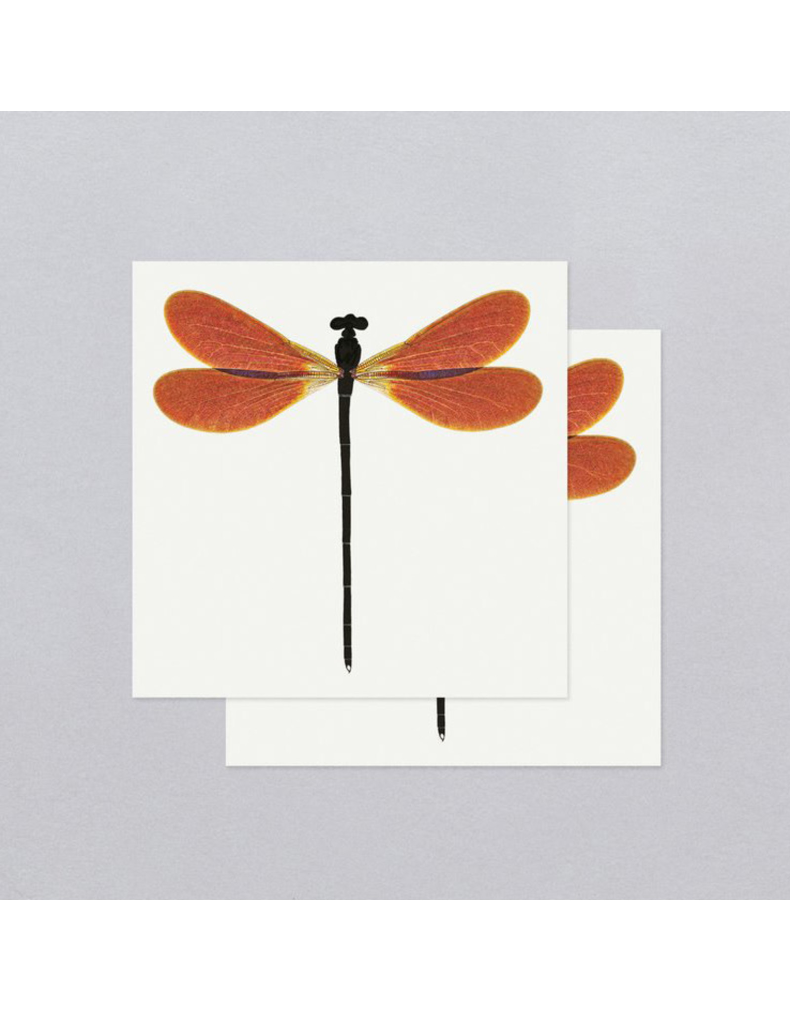 Tattly Amber Damsel Tattly Packaged Pair