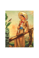 Cartolina Hola Everyday A2 Notecard