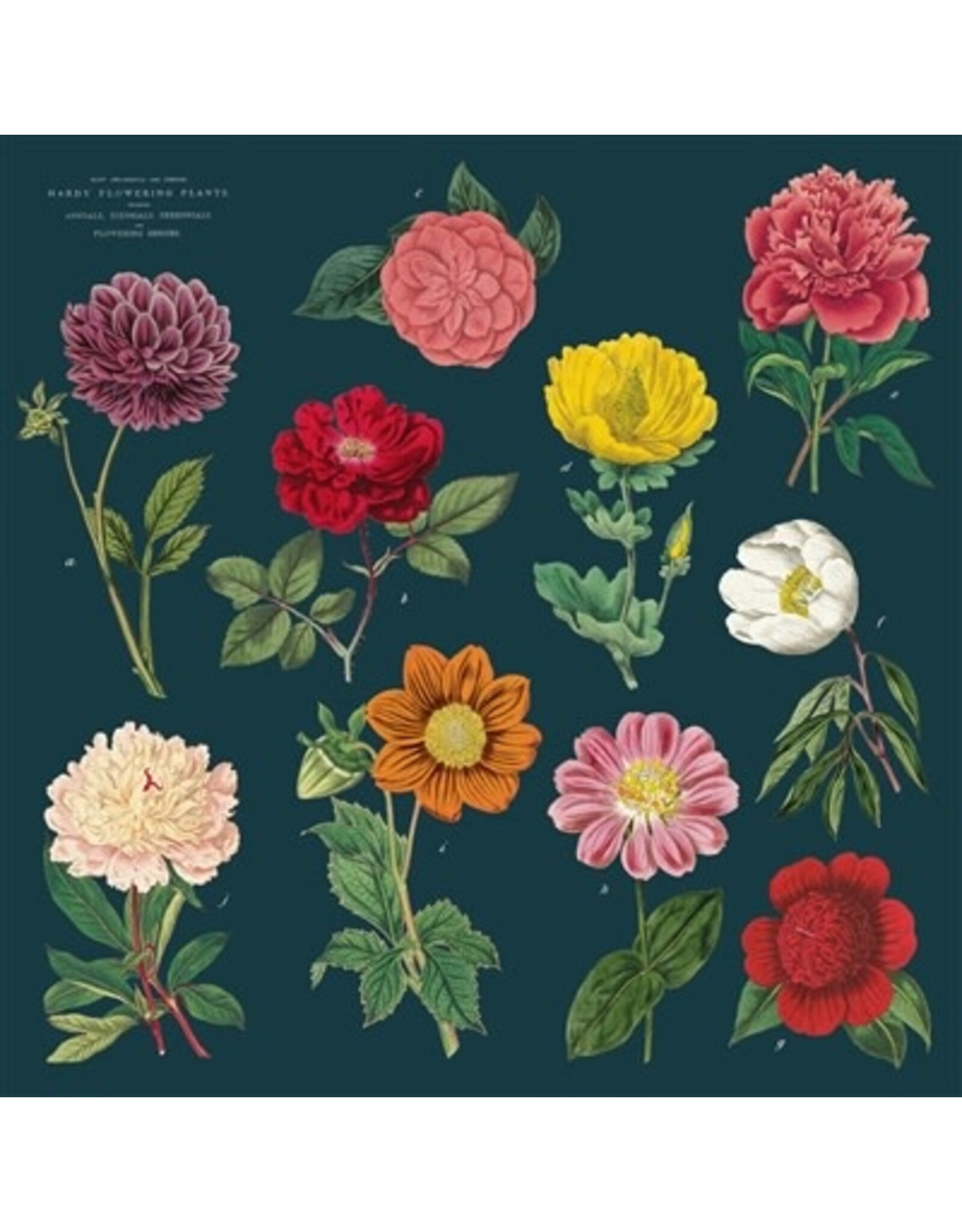 Cavallini Papers & Co. Botany Vintage Napkins Set of 4