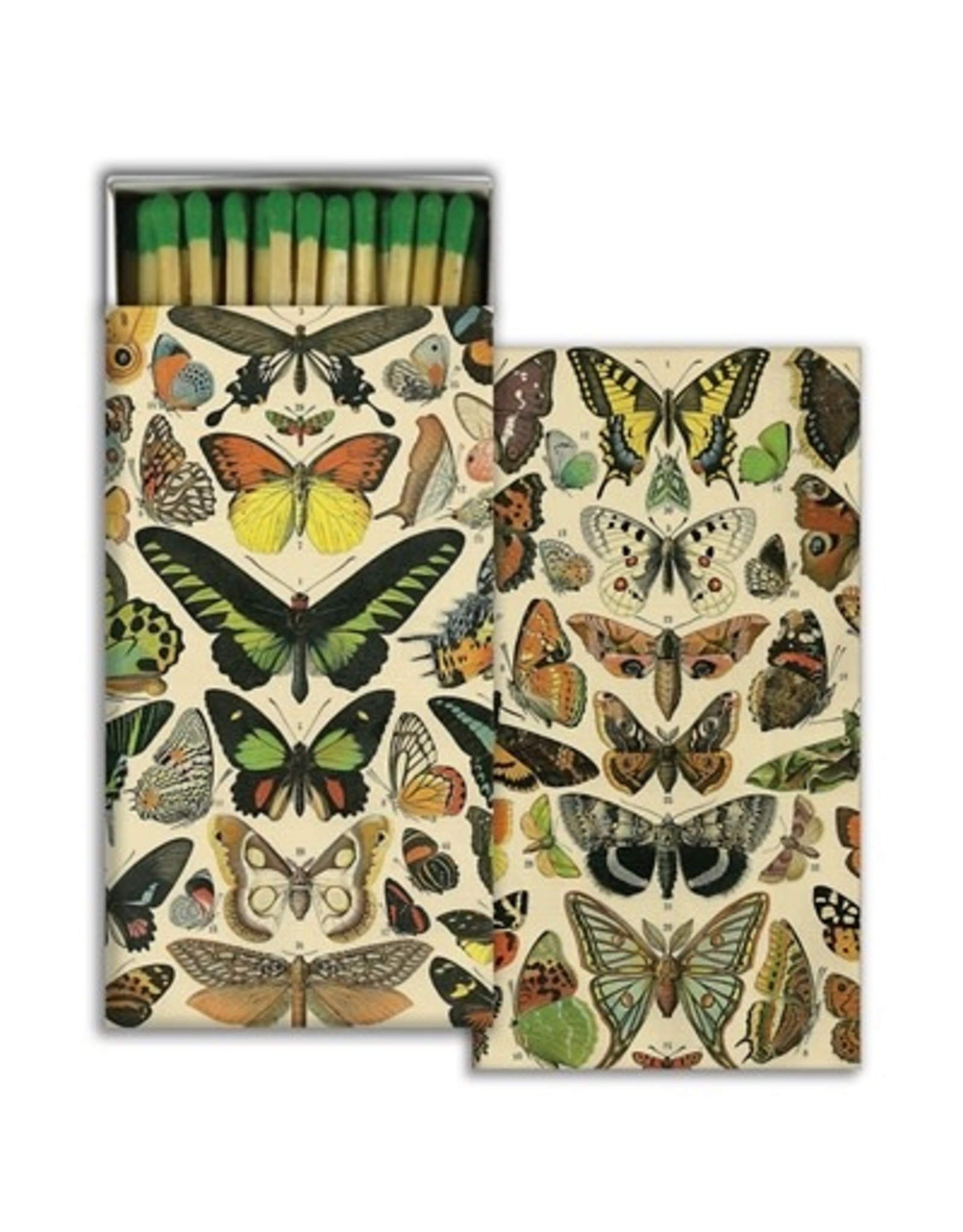 HomArt Butterfly Specimens Matches