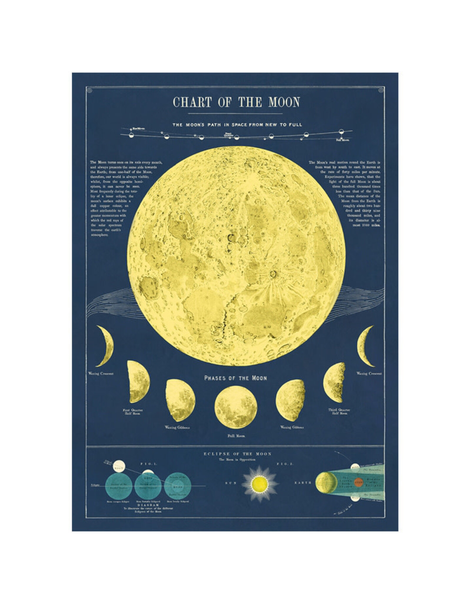Cavallini Papers & Co. Wrap Moon Chart