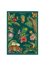 Cavallini Papers & Co. Wrap Tropicale